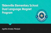 Tildenville Elementary School Dual Language Magnet Program · • Free clubs every morning: French, Spanish, Garden Club, Computer Lab, Running Club • National Elementary Honor
