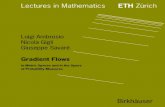 Lectures in Mathematics - Statistical Sciencesayan/ambrosio.pdf · Lectures in Mathematics ETH Zürich Department of Mathematics Research Institute of Mathematics Managing Editor: