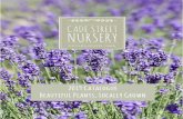 2019 Catalogue Beautiful Plants, Locally Growncadestreetnursery.co.uk/wp-content/uploads/2019/02/... · time this catalogue now contains our whole portfolio from January to December.
