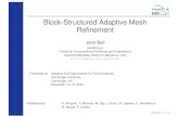 Block-Structured Adaptive Mesh Renement · 2013. 4. 15. · Consider two levels, coarse and ne , with renement ratio r xf = xc=r ; tf = tc=r; To integrate Advance coarse grids in