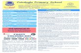 Cobdogla Primary School · School News Hi everyone, The tween years (10-12) are an important stage in the development of our children and some real active participation from parents