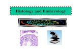 Histology and Embryology - medicine.jlu.edu.cnmedicine.jlu.edu.cn/__local/B/E8/1F/802936D5968F8E31F27F3BC598… · Chapter 14 Urinary System Chapter 15 Endocrine System Chapter 16