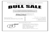83rd Indiana Beef Evaluation Program Performance Tested · - 2 - Welcome Welcome to the 83rd Indiana Beef Evaluation Program (IBEP) sale. During the past 42 years, 11,632 bulls and