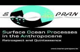 Retrospect and Quintessence - GEOMARoceanrep.geomar.de/...Retrospect_and_Quintessence.pdf · coordinator of SOPRAN from 2007 until 2011. After nine years of work which included five