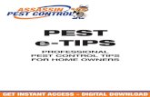PEST e-TIPS - Yellowpages.com...PEST CONTROL Our Pest e-Tips newsletter is a quick read to give you some tips on how to create a pest-free home. As well as details on the pest of the