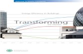 energy efficiency in buildings transforming the market · 2017. 5. 29. · Energy Efficiency in Buildings – Transforming the Market 4 Our report The EEB project has focused on energy
