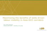 Maximizing the benefits of skills driven labour …abudhabidialogue.org.ae/sites/default/files/document...1 Contents Why is skills driven labour mobility important in the Asia-GCC