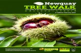 Newquay Trenance Valley TREE WALK...Trenance Valley, set in 26 acres of lush, sub-tropical planting, is often referred to as the jewel in Newquay s crown. Newquay Trenance …