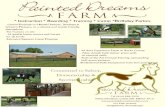 * Instruction * Boarding * Training * Camp *Birthday Parties - Painted Dreams …painteddreamshorsefarm.com/images/pdf brochure 2011.pdf · 2019. 8. 30. · - New Amish built indoor