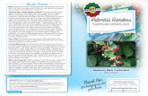 Plants lok Dry r Fliage appers Lacklustr: Robta’s Gdens...dry to the touch, give your plants a watering. Step 3 Allow your plants time to adjust to their new home before re-planting