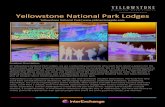 Yellowstone National Park Lodges · Area Description Yellowstone is the world's first National Park and boasts 2.2 million acres of wilderness and wildlife, from canyons to mountains