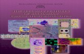 THE SECURITY FEATURES OF BULGARIAN CIRCULATING … · Bulgarian banknotes are national emblems presenting Bulgarian history and heritage in an intriguing manner. The banknotes we