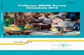 FinScope MSME Survey€¦ · 2.3 Banking industry and financial services 15. 3 Overview of size and scope of the MSME sector in Zimbabwe 18. ... Ministry of Finance, Ministry of Youth