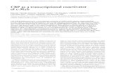 CBP as a transcriptional coactivator of c-Mybgenesdev.cshlp.org/content/10/5/528.full.pdf · 2007. 4. 27. · CBP as a coactivator of c-Myb review, see Buratowski 1994). Among these,