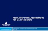 REGULATORY CAPITAL REQUIREMENTS FOR U.S. LIFE INSURERS · 11/07/2017  · Bonds (includes most fixed income: corporate bonds, structured securities, municipal bonds, private placements,