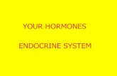 YOUR HORMONES ENDOCRINE SYSTEM - uml.edufaculty.uml.edu/jhojnacki/83.102/Documents/ENDOCRINE...hypnosis, biofeedback •Exercise as stress reliever 2007 study: Exercise almost as good