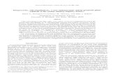 il orthopyroxene and its proposed phase relations in the ... · exsolution lamellae. Exsolution relations have been de-scribed in the manganoan amphiboles from the Balmat area by