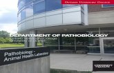 DEPARTMENT OF PATHOBIOLOGY · and pathological responses to infectious organisms. The department offers advanced training in diagnostic anatomic, clinical, and comparative pathology,