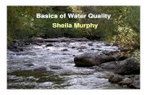 Basics of Water Quality Sheila Murphy - Keep It Clean ...€¦ · Basics of Water Quality Sheila Murphy. Water quality: The chemical, physical, and biological characteristics of water,