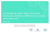 A Strategy for Open Water Drowning Prevention-Making a ...€¦ · representatives from the boating industry, recreation boating groups, government, law enforcement, and marine safety
