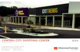 CENTRAL CITY SHOPPING CENTER€¦ · Citi Trends Dollar General Ollie’s Bargain Outlet Planet Fitness Subway AL JACSON S IL T MS TN MO Y HOT SPRINGS 401 CENTRAL CITY SHOPPING PROPERTY