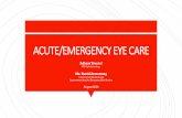 ACUTE/EMERGENCY EYE CARE EMERGENCY EYE CARE A… · • Timeframe: started 23/03/20 - present • Sources of referrals: Optoms, patients, GP, others (orthoptists, nurses, wards and