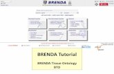 BRENDA Tutorial · BRENDA eli Jr Term or Synonym: AND trjct to BRENDA links: te of Download s cf went s 8 of el —t R] IS to from went n' I n to BRENDA evaluate BRENDA.' Tissue C)