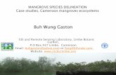 Buh Wung Gaston - Esri€¦ · Data analysis and presentation . Satellite Image processing Delineation of mangroves zones and mangrove species from Satellite images Questionnaires