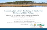 Increasing Salt Marsh Resiliency at Blackwater National ... · Increasing Salt Marsh Resiliency at Blackwater National Wildlife Refuge Supported by a generous grant from the National