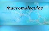 Macromolecules€¦ · Macromolecules • Def: Large organic molecules – Also called POLYMERS •Broken apart by Hydrolysis reactions •Made from Dehydration reactions – Made