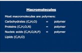 Most macromolecules are polymers: Carbohydrates (C,H,O ... Macromolecules Most macromolecules are polymers: