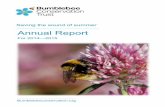Annual Report - Bumblebee Conservation Trustbumblebeeconservation.org/images/uploads/BBCT002... · Fostering habitat provision 6 Fostering public awareness 7 Building capacity 8 ...