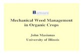 Mechanical Weed Management · Mechanical Weed Management in Organic Crops • Necessary to understand in a system context – What role does tillage play in your farming system? –