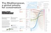 1 2 a global priority 4 for conservation - IUCN...of IUCN Red List assessment at Mediterranean and Global level Distribution of threatened taxa by group and country (Bold lines) Main
