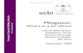 Mitigation-what's in in for Africapubs.iied.org/pdfs/G03006.pdf · Mitigation: what‟s in it for Africa? iii Contact: Postal Address: 57 Woodstock Road, Oxford, OX2 7FA, UK Phone