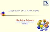 Magnetism (FM, AFM, FSM)susi.theochem.tuwien.ac.at/.../notes/Schwarz_Magnetism.pdfmagnetism comes from partial occupation of states, which differ between spin- up and spin-down. Boarderline