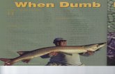 Lake St. Clair Fishing Guide - Musky, Walleye, Smallmouth Bass€¦ · Once these fisheries receive fishing pressure and the muskies when the lake attracts the attention of musky