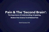 Pain & The ‘Second Brain’ · Moseley GL, Arntz A. The context of a noxious stimulus affects the pain it evokes. Pain. 2007;133(1-3):64-71. Helsen K, Vlaeyen JW, Goubert L. Indirect