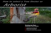 How to select a Tree Doctor or Arborist...3 reasons to avoid using an arborist Arborist Finding the Best Arborist/Tree Doctor How to select a Tree Doctor or 2 What's wrong with this
