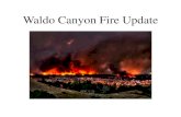 Waldo Canyon Fire Update - coloradoadvantage · Waldo Canyon Fire Update. Demolition. 2310 Courtney Drive Before. 2310 Courtney Drive AFTER Avg 3200 sq ft house = $18K-$20K in Demo