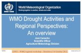 WMO OMM WMO Drought Activities and Regional Perspectives: … · 2016. 10. 11. · WMO OMM 11 Standardized Precipitation Index (SPI) • Inter-Regional Workshop on Indices and Early
