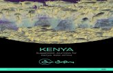 KENYA - Sun Safaris Jour… · KENYA EScAPE AdVENturE days 1 – 2 Southern Sun Mayfair Hotel, Nairobi. (1 night) days 2 – 4 Elephant bedroom camp, Samburu National reserve. (2