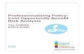Professionalising Policy: Cost Opportunity Benefit Risk ... · based on the Cost Opportunity Benefit Risk Analysis (COBRA) approach. This section also explains how other frameworks,