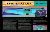 THE SCOOP - mowiscotland.co.uk€¦ · The Scoop will follow the progress of the pilot and report back. NHS staff and care home residents in Skye enjoy smoked salmon The Isle of Skye
