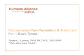 Perioperative Pain Prevention & Treatment€¦ · o “Plate” protocol to treating pain • One size doesn’t fit all • Evaluate analgesia or pain frequently in periop period