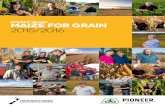 PIONEER BRAND MAIZE FOR grain 2015/2016 · 05 THE NEW ZEALAND FAMILY OWNED Maize Seed BUSINESS MAIZE FOR GRAIN 2015-2016 06. farm profile Left: The Steele’s maize grain crop. Above: