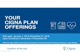 YOUR CIGNA PLAN OFFERINGS...Your health plan plus a health savings account YOUR CIGNA CHOICE FUND ® HEALTH SAVINGS ACCOUNT 1/1/2016-12.31/2016 882379 05/15 Offered by Cigna Health