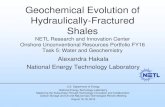 Geochemical Evolution of Hydraulically-Fractured Shales · analytical geochemistry capabilities to evaluate frac chemical-shale reactions 8 High-pressure, high-temperature Static