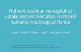 Nutrient retention via vegetative uptake and sedimentation ... · uptake and sedimentation in created wetlands in subtropical Florida Lauren N. Griffiths 1,2, William J. Mitsch 2,1,