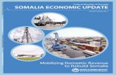 Federal Republic of Somalia Public Disclosure Authorized ...reliefweb.int/sites/reliefweb.int/files/resources/... · 2/8/2017  · July, 2017 Mobilizing Domestic Revenue to Rebuild